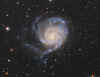 M101_6Feb21_75_web.jpg (234534 bytes)