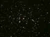 M44_9Feb08_web.jpg (135670 bytes)