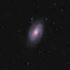 M81_13Feb13_web.jpg (294285 bytes)