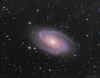 M81_23Jan18_web.jpg (910118 bytes)