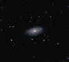 NGC3953_reducedCrop_28Mar14.jpg (57225 bytes)