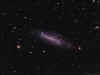 NGC4236_3May19_web.jpg (935560 bytes)
