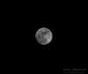 Moon_ChristmasEve2015.jpg (40078 bytes)